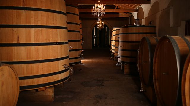 Degustazione di vini e visita allo Château Perron