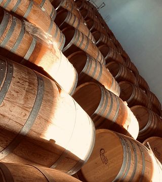 Weinprobe und Tour in der Azienda Vitivinicola Tola