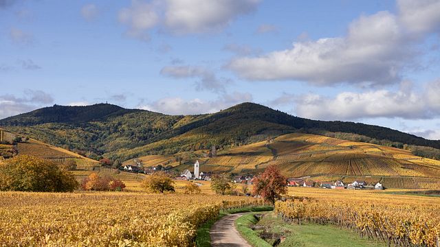 Degustação de vinhos biodinâmicos no Domaine de l'Envol