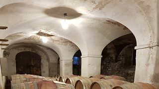 Tuscan Vineyard Tour & Wine Tasting at Tenuta Di Frassineto
