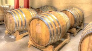 Weinprobe und Tour in La Maranzana