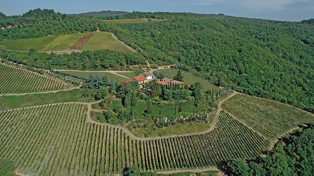 Cennatoio Winery