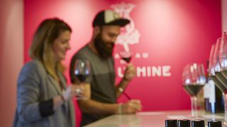 Laboratorio olfattivo e degustazione di vini al Château de la Dauphine