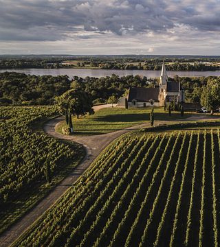 Loire Valley Organic Wine Tour at Château de Targé