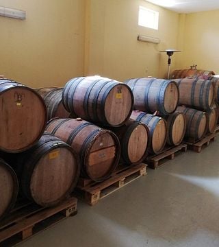 Borovitza Winery