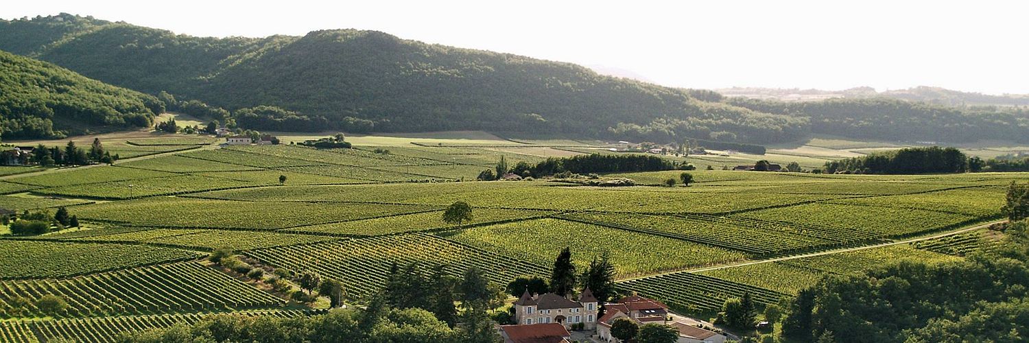Château de Gaudou-Vineyards