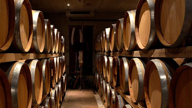 Cata de vinos de prestigio en Avantis Estate 