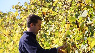 L'Armangia Azienda Agricola