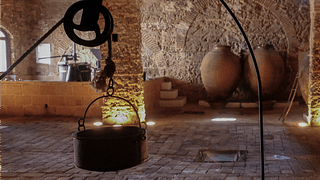 Viñedos honrados con gran cata