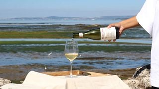 Galicia's Albariño Wine Tour & Tasting at Martín Códax