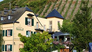 Degustação de vinhos e tour em Weingut Geierslay