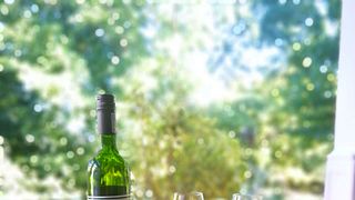 Degustazione di vini e tour a Le Manoir De Brendel