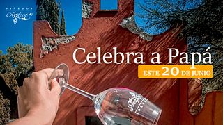 Visita e giro dei vigneti Azteca a Viñedos Azteca