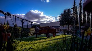 Degustazione e visita al Podere La Marronaia