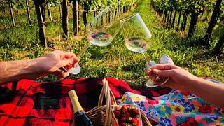 Weinprobe und Besichtigung im Vinarija Jagunić