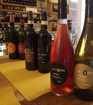 La torre srl socità agricola