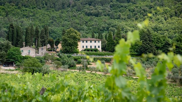 Cata de vinos y visita a la bodega de Fattoria Montereggi