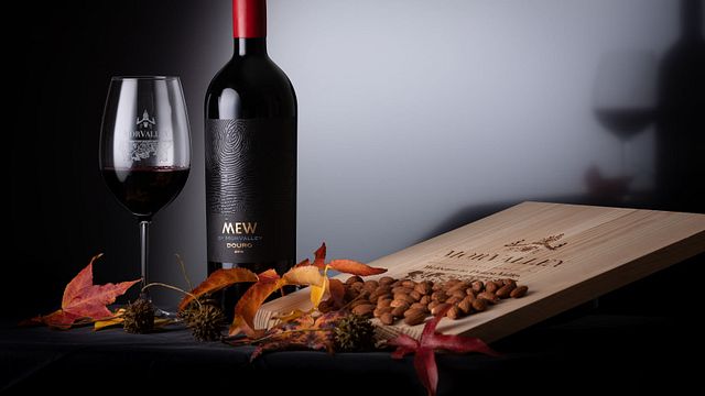 Dégustation et visite de vins chez Morvalley Douro Wines