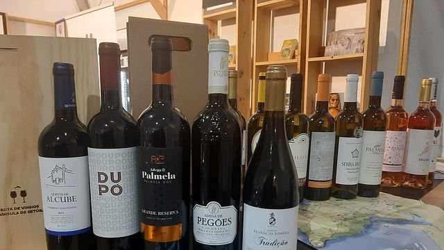 Prova de Vinhos Icónica na Casa Mãe Da Rota De Vinhos
