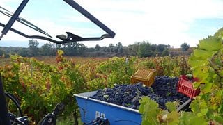 Beliebte Weinprobe und Tour im Casa Vinicola D'Angelo