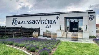 Weinprobe und Führung im Bioweingut Malatinszky Kúria