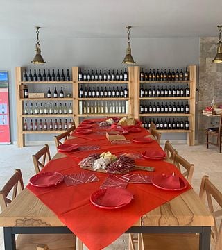Visite de la Cave avec dégustation de tous les Vins accompagnée de Plateaux