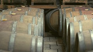 Experience the Enchanting Wines of Salento