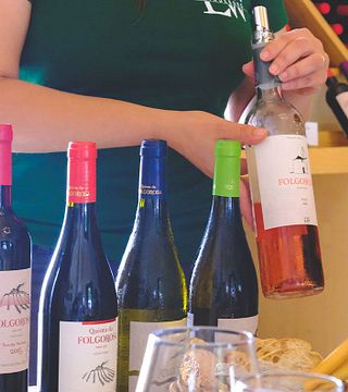 Voyage de découverte parmi les vins de Lindeborg | Domaine de Folgorosa