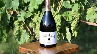 Weinprobe von Weinen vom Trasimenischen See mit lokalen Weinbegleitungen in der Cantina Di Colle