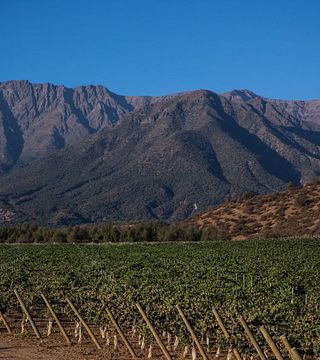 Weinprobe und Tour in Santa Ema