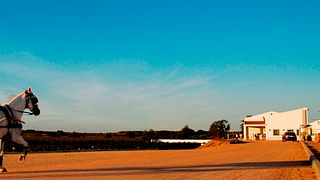 Weinprobe und Tour im Casa De Sabicos
