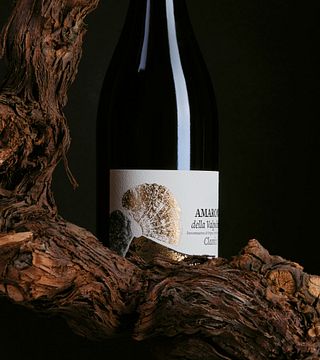 Visita a La Valpolicella y degustación en Cantina Monteci