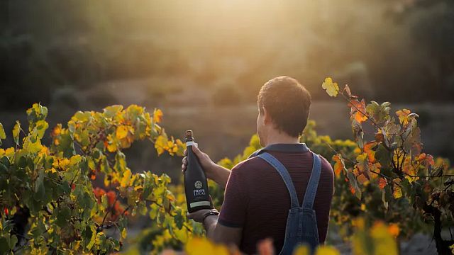 Wine Experience