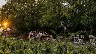 Cata de vinos en la finca Szaszi