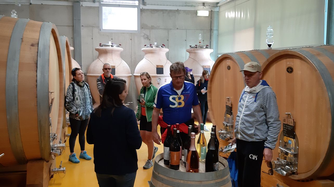 Descubra el vino Bianchello Incrocio Bruni y las Tierras de Raffaello Sanzio