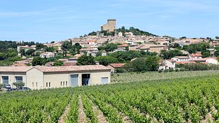Châteauneuf du Pape intensive vineyard & fine wine experience, the best of the Rhône valley wines and history & origin of the appellation