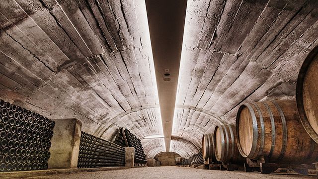 O Caminho das Uvas na Enoteca Monte Fasolo