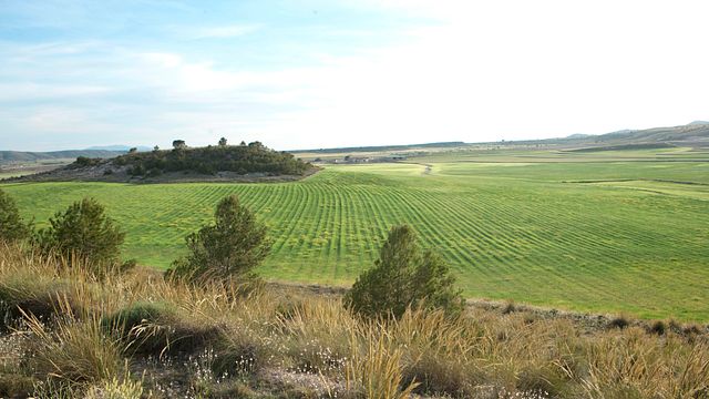 Bodegas Sierra Salinas