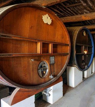 Degustação de vinhos e passeio no Clos Bagatelle