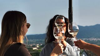 Savor Veneto’s Prosecco & Fresh Seafood Pairing