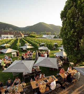 Domäne Wachau