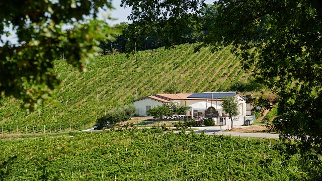 Führung und komplette Weinprobe bei La Veneranda