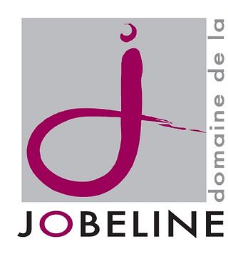 Degustazione di vini e visita al Domaine de la Jobeline