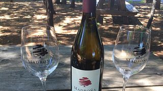 Degustação de vinhos e tour nos vinhedos de Madroña