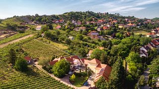 Degustação de Vinhos em Vida Péter, Szekszárd