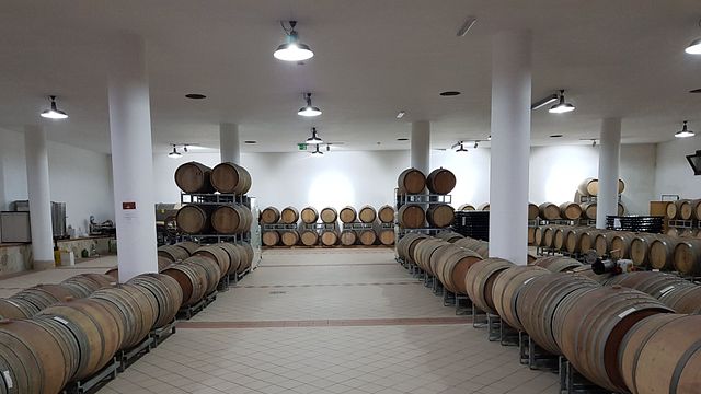 Wine Tasting and Tour at Tenute Soletta
