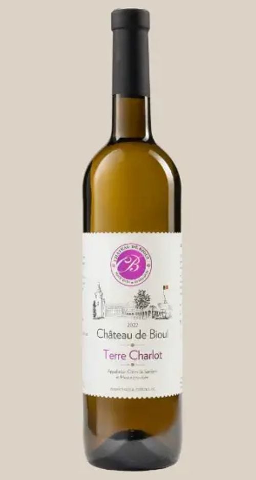 Terre Charlot