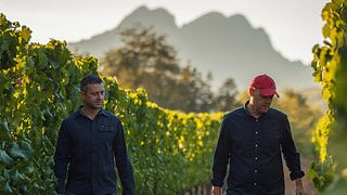 Delaire Graff Estate