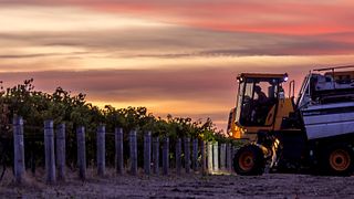 Juniper Winery