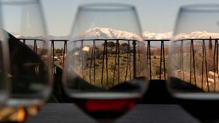 Terroir Piceno + Paarung | Vigneti Vallorani